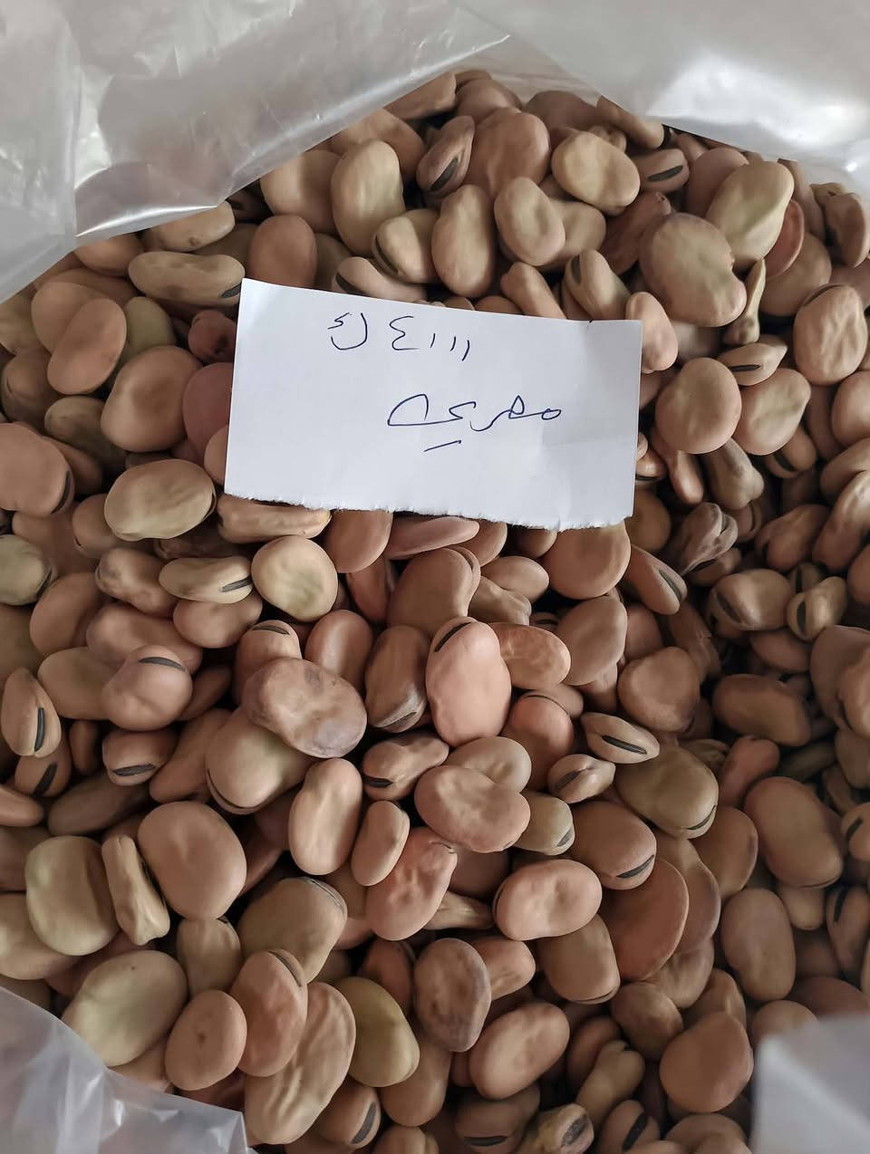 بذور شتوية • مستلزمات زراعية • ناحية الشورة