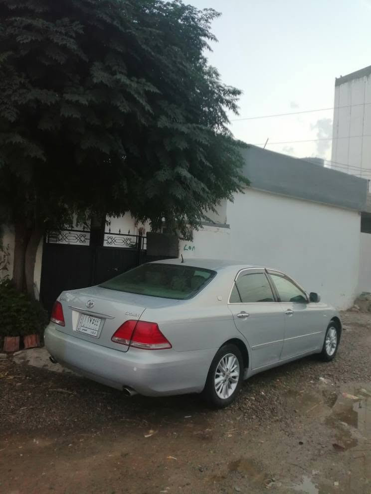 شاهانە ساغ • ٢٠٠٥ • حلبجة