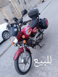 بوكسر • للبيع • استفسار