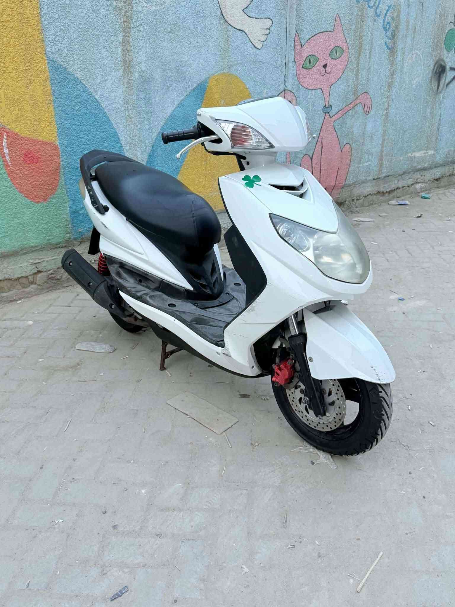 سكنس فحل • سلف • تايرات جديد