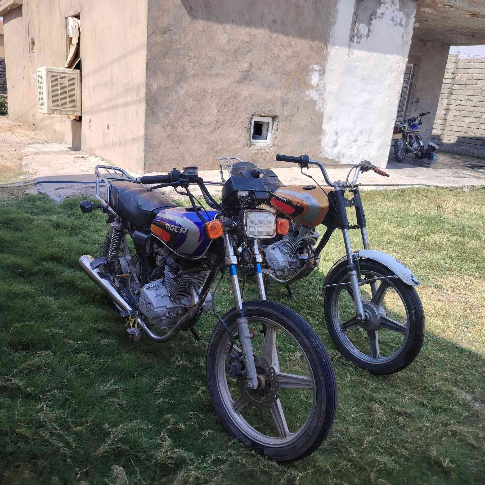 للبيع السعر 500 وبيهن مجال للشراي المكان الشرقاط قريه شكراً *********** النظافه فول
