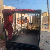 محجر صقر • الحسينيه • خدمات مسقط