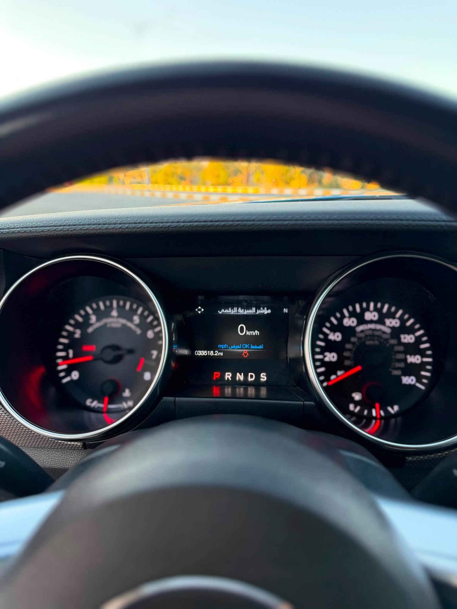 موستنك جيتي • ٢٠٢٠ • رقم اربيل