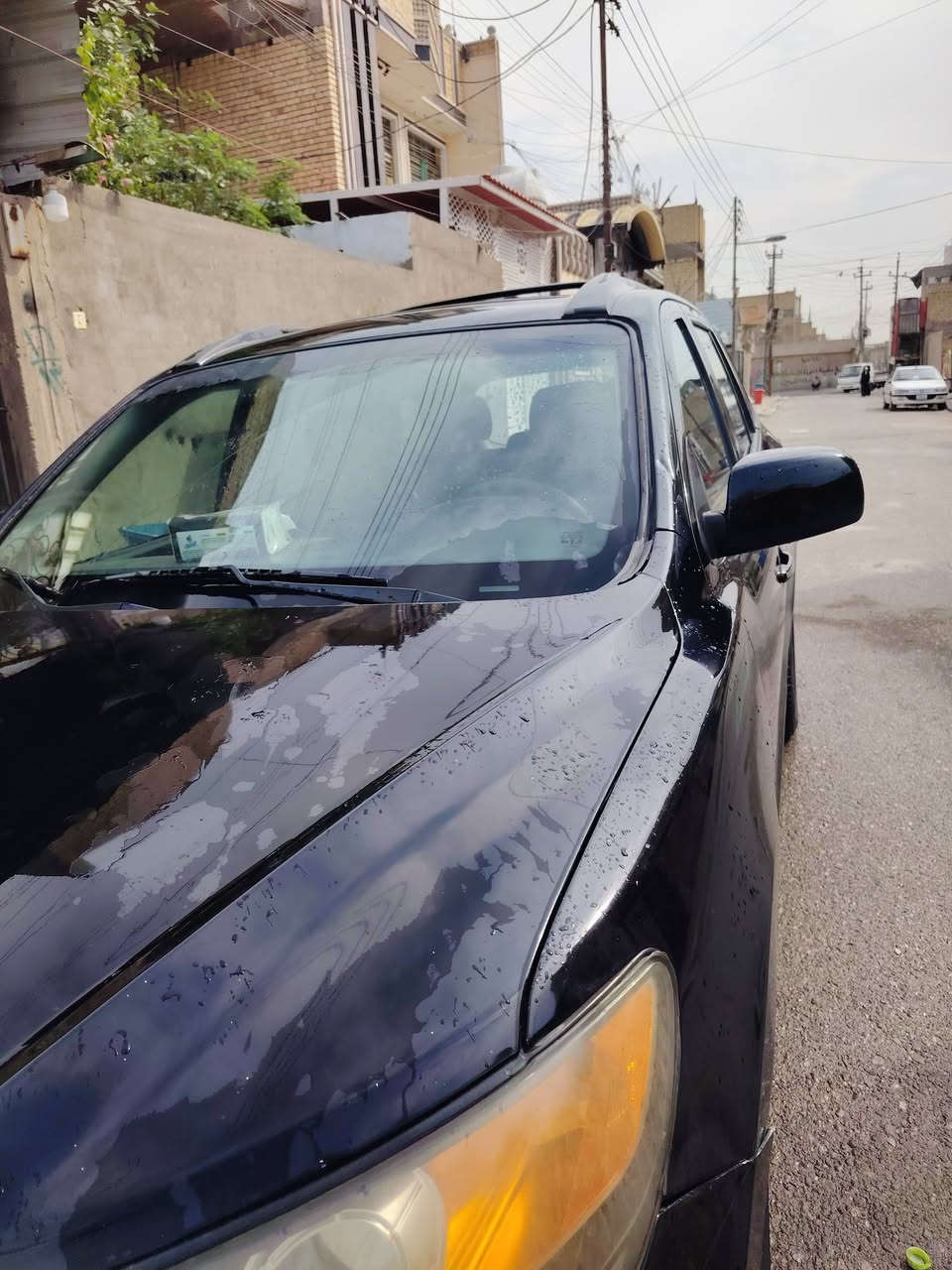 سنتافيا • ٢٠١٢ • رقم بغداد