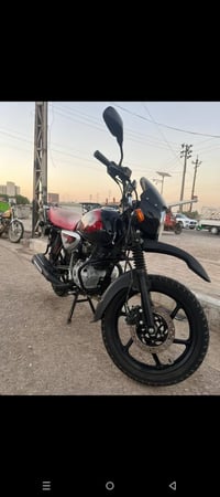 بوكسر • فحل • كفاله
