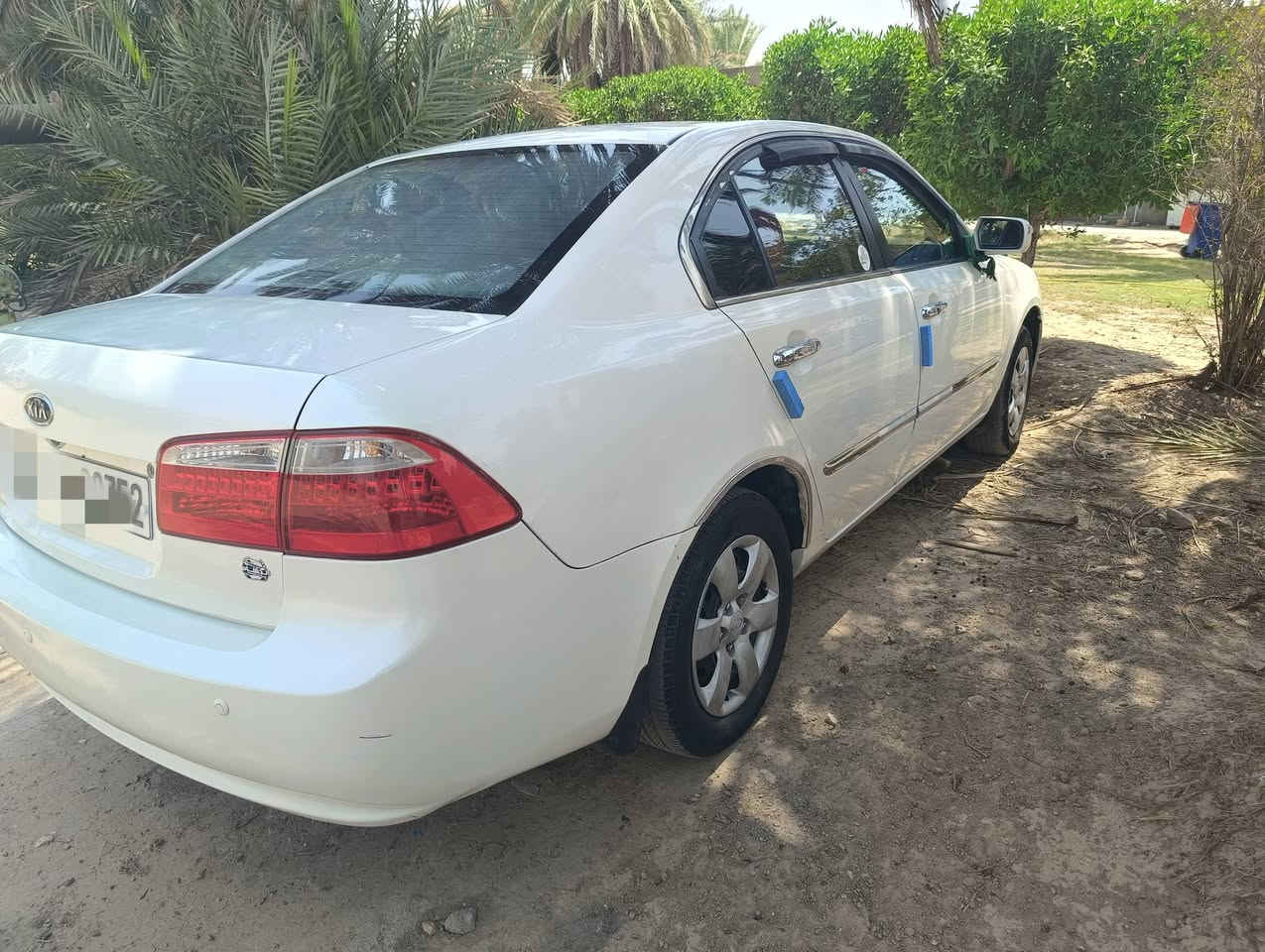 بتيما • ٢٠٠٨ • رقم دولي