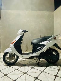 دولفين • ياباني • فحل