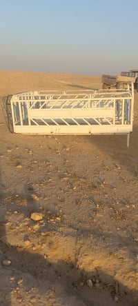 محجل • عانه