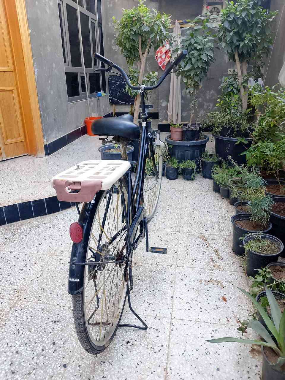 بعقوبة كاطون رازي
باسكل البيع  حجم 27. 

***********
