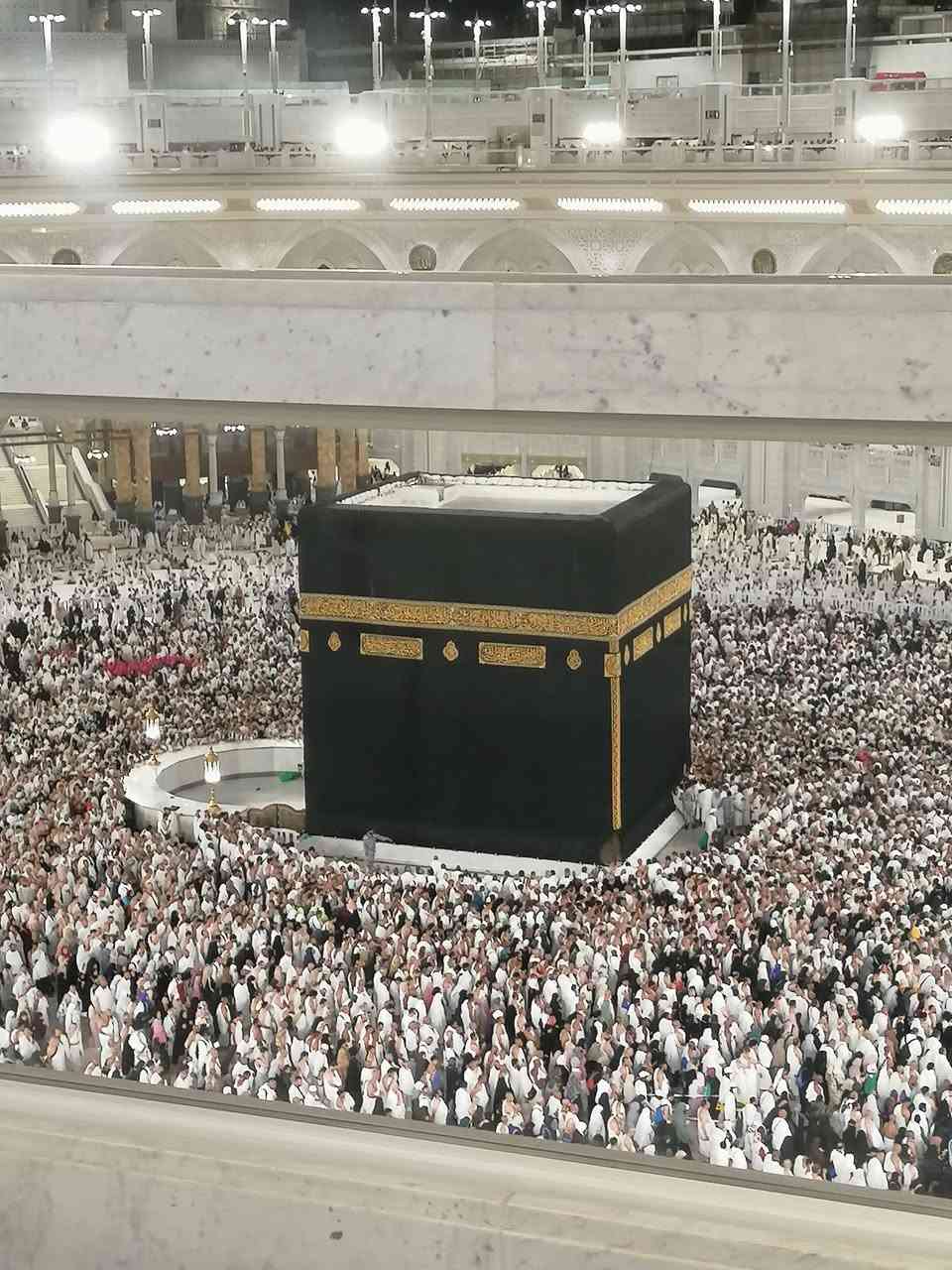 🌙 رحلة إلى الديار المقدسة لأداء مناسك العمرة 🕋
📅 موعد الرحلة: 9/9/2026
🏨 برنامج الرحلة والإقامة: 🔹 محطة الاستراحة: ليلة واحدة في شاليهات حائل
🔹 المدينة المنورة: 3 ليالي — إقامة مركزية
🔹 مكة المكرمة: 6 ليالي — فندق إعمار المنار، قريب من الحرم وسهل الوصول إليه سيرًا على الأقدام 🚶‍♂️🕋
💵 سعر الرحلة: 475 دولار فقط
📢 نستقبل الحجوزات الآن
سارعوا بحجز مقاعدكم وتسليم الجوازات لضمان الحجز.
👤 المتعهد: يوسف محمد سعيد المعضادي
📞 هاتف / واتساب: ***********
