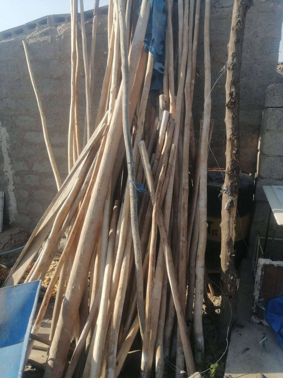 خشب للبيع مع جسور خشب نظيف
عدد خشب 25.سعر زوج 8الاف
عدد جسور10 سعر زوج 15الف
كركوك حزيران يريد يتصل عل ***********
