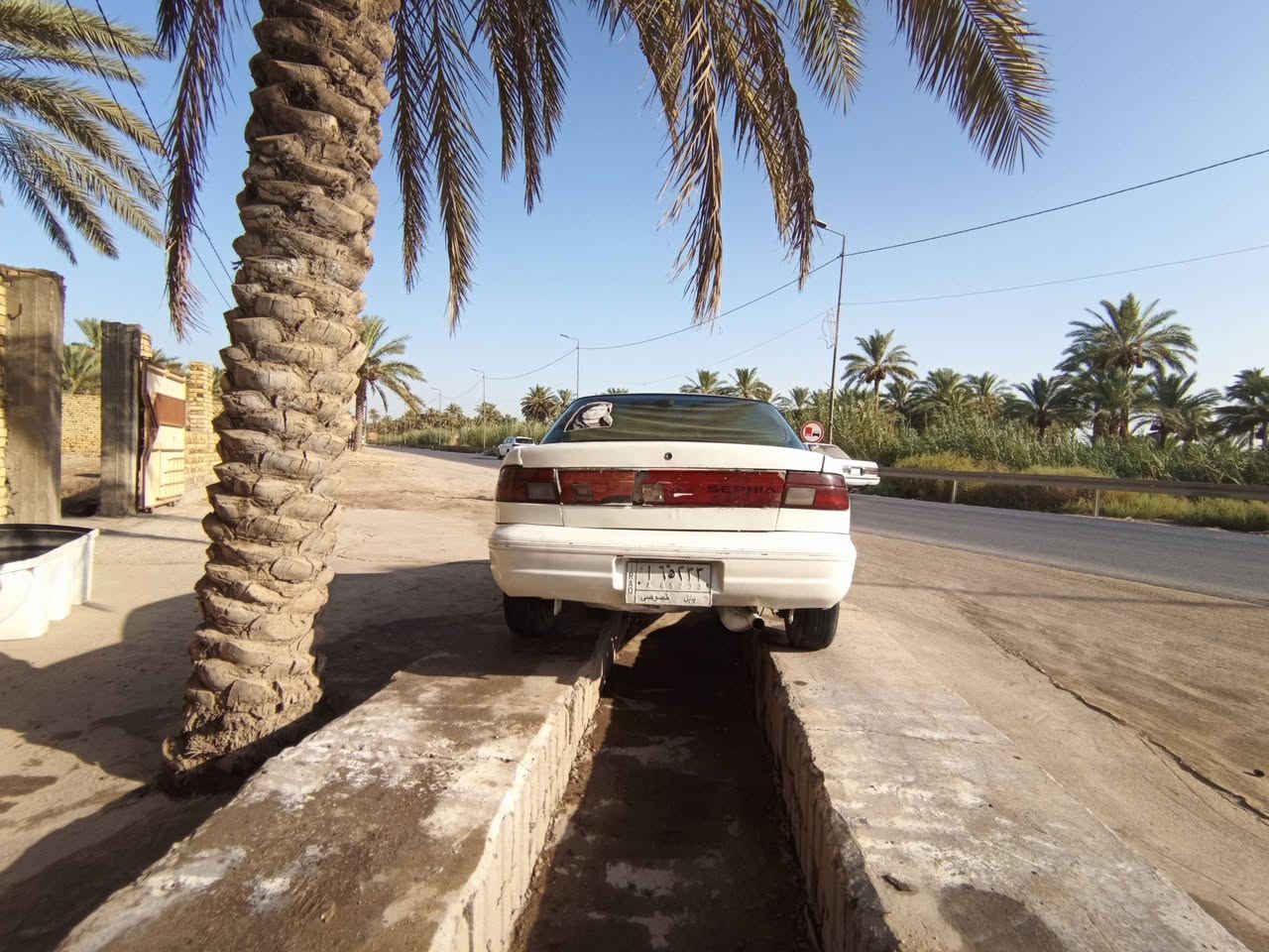 سلام عليكم ورحمه الله وبركاته 
للبيع كيا سيفيا 
موديل 94 
رقم بابل 
مكينه مفتوح 
كير عادي 
 حداديه امامي خلفي جديده 
تخم تاير كامل 
مابيه خياسات 
تدفه تبريد شغال 
كهربائيات شغاله 
ترايك واين ماريد 
مكاني بابل سعر 27 وبيه مجال   
 رقم ***********
