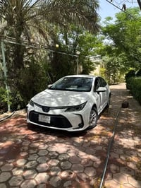 كورلا هايبرد • ٢٠٢١ • بدون صبغ