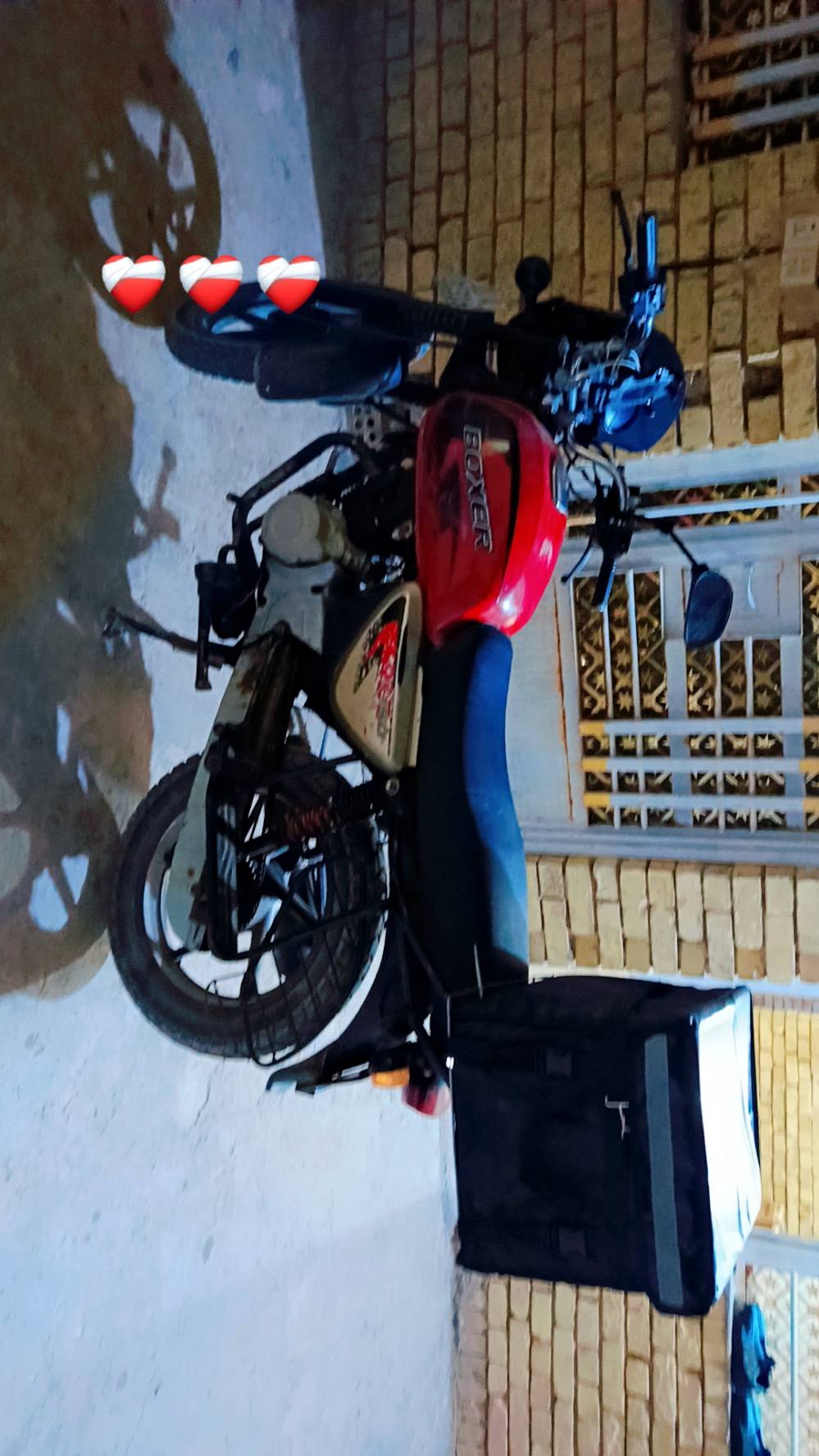 بوكسر جبلي • موديل ٢١ • مرقمه