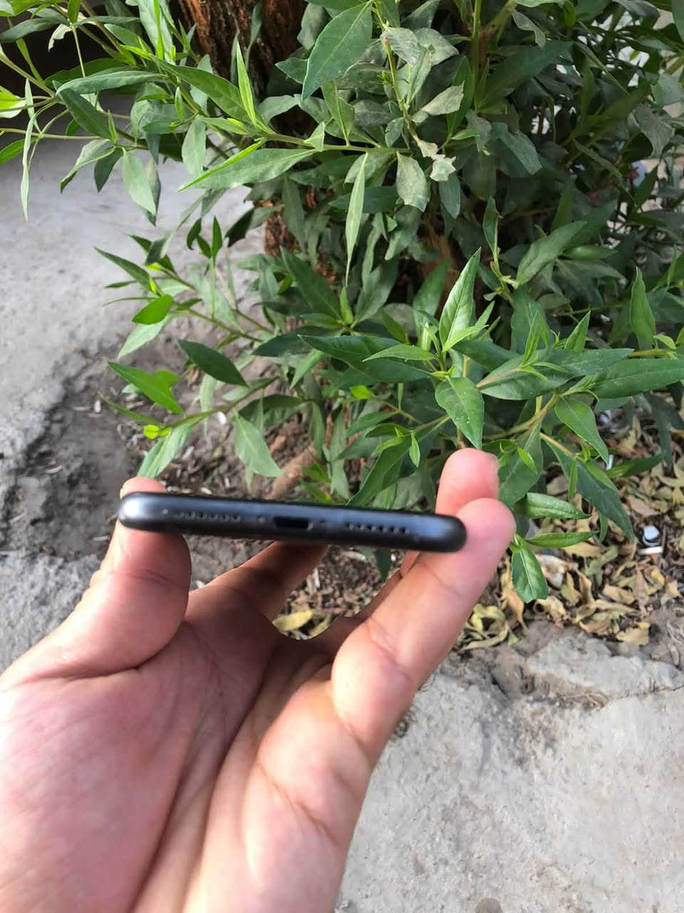 آيفون ١١ • ١٢٨ • الغالبية