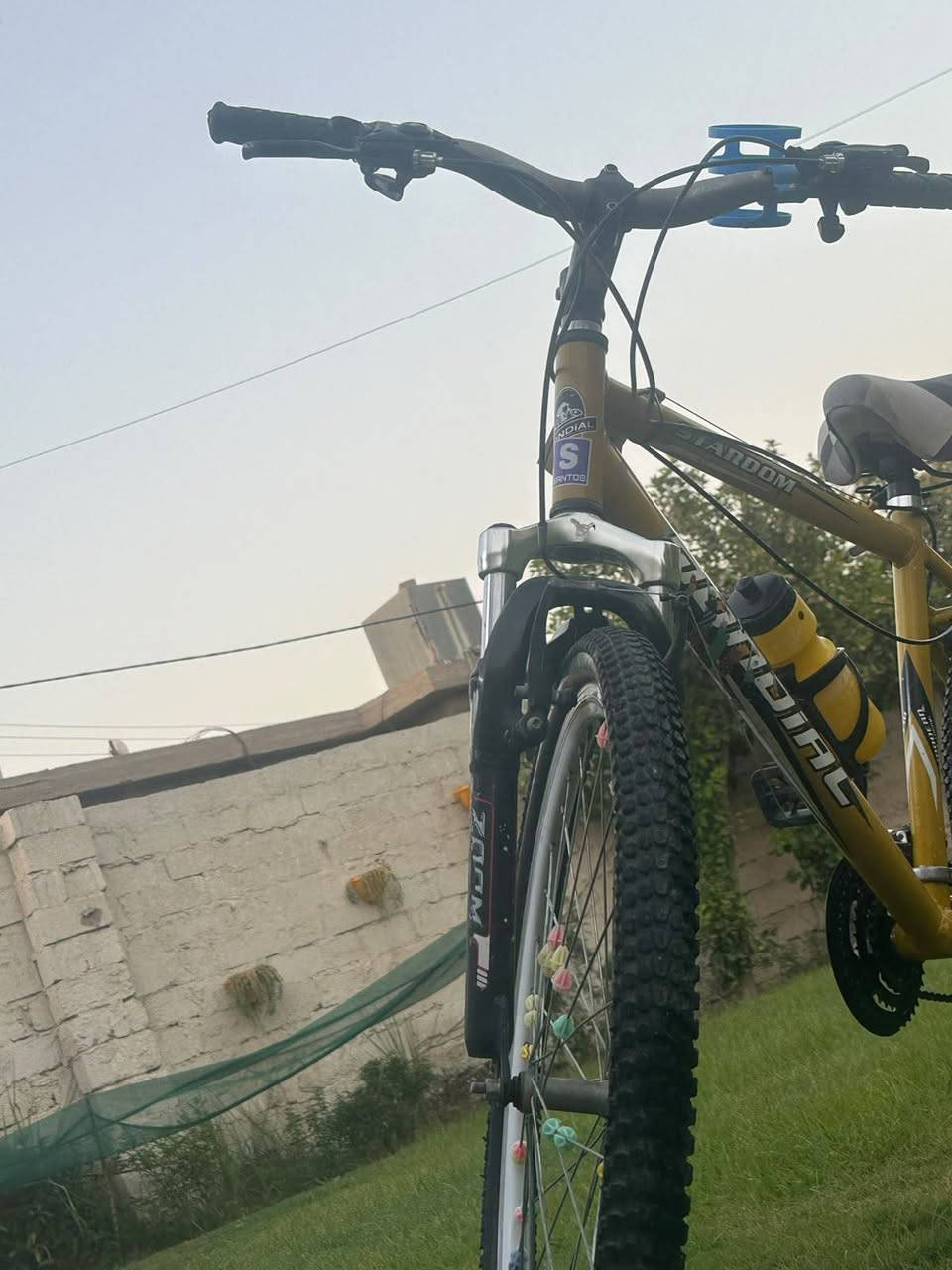 السلام عليكم
بايسكل رياضي للبيع كامل ما بيه كل نقص
السعر 95000الف بيه مجال بسيط
***********
