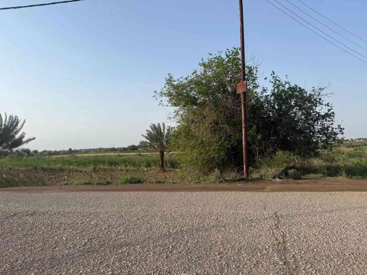 كاع طابو زراعي سند 25 بسمي شرط التحويل)(في واسط - قضاء - الزبيدية )
تبعد عن مركز المدينة -وعن( سيطرة السدة تقريباً ٤٠٠ م) محاديه لنهر دجله 

(( طريق سدة الجدول )) 

مساحة ١٨ دونم - وجه 28 م
 (بيهة خمسه ٥ بيوت )
ملاحضة؟ . البيوت تباع من ضمن الدوانم وذا تجزئه لا حسب التفاق))

(( طريق رسمي - حصة مائية + ماطور - كهرباء
تبليط - مستصلحة مزروعة - (( تحويل مباشر ))
((( محولة كهرباء خاصة في الكاع )))

(( تباع كاملة أو تجزئة دوانم ))
(( كما موضح في الفيديو ))

للاستفسار - *********** )) 
((واسط - قضاء - الزبيدية  ))
