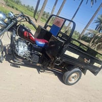 ستوتة • ٢٠٢٢ • وراق اصولي