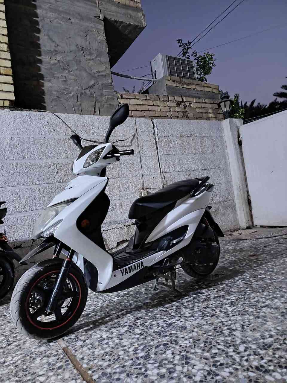سكنس فحل • ٢٠١٣ • مكفول