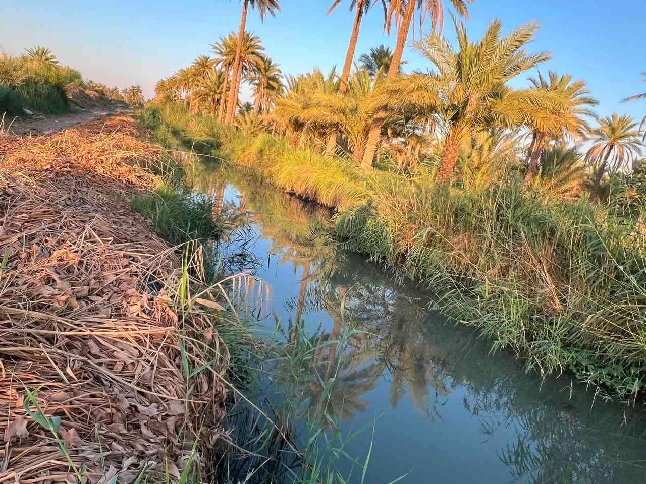 ✅توجد 6 دوانم و600 متر طابو زراعي ٢٥ تحتوي على اربع منازل 🏠 

واجهة 40 ونزال 400  وتحتوي على اكثر من ٦٠٠ شجره مثمره ونخيل بانواعه 

✅متوفر كافه الخدمات ماء كهرباء مدارس مركز صحي 

✅الموقع طريق كربلاء نجف منطقة شط الله ولها مدخل ثاني الجدول الغربي طوريج 

سعر الدونم 120 مليون وبيه مجال للشراي للاستفسار ***********
