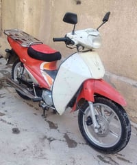 سرفيز • ٢٠١٤ • فول نشاط