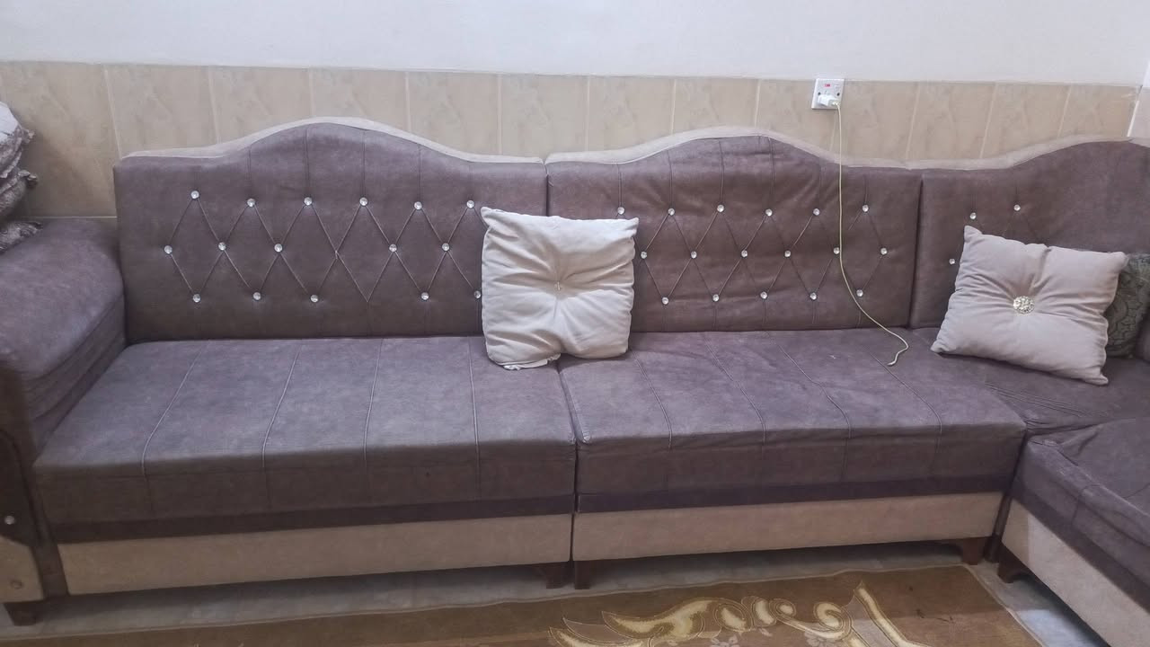 تخم حرف L, للبيع
