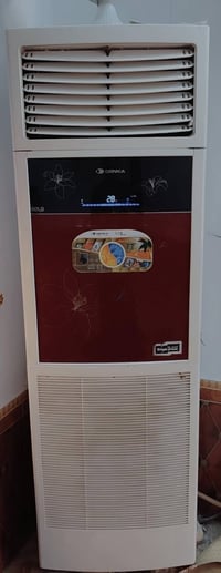 سبلت • ٣ طن • دنكا
