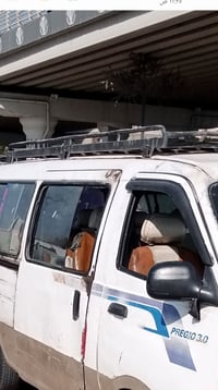 سلة بريجو • بصرة حيانية