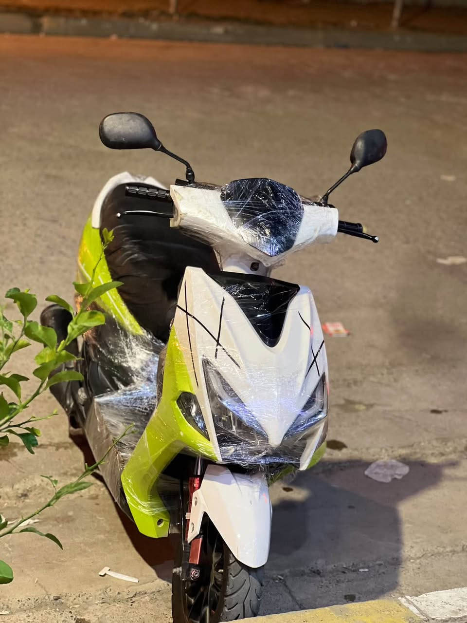 ماكس بومه • ٥٥ • معدل