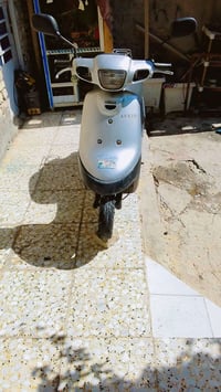 بطة • ٦٠ • طافية