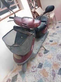 دوام • عطلت • كربلاء