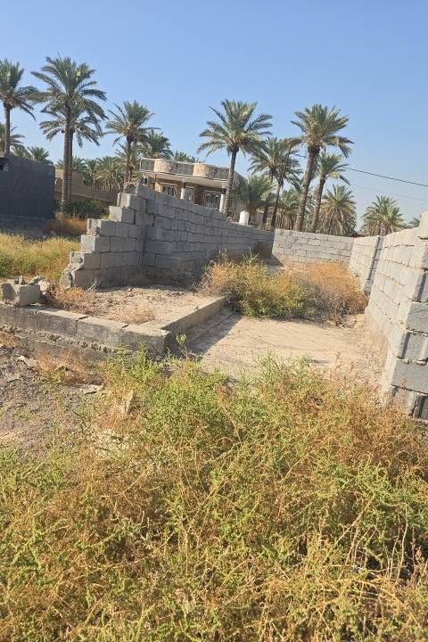 طابو زراعي سند ٢٥ • ٧٠٠م • المحمودية حي بلال