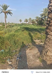 🏡 فرصة مميزة لامتلاك أرض! 🌿 تريد تستثمر أو تبني بيت أحلامك؟ ✨ هسه فرصت...