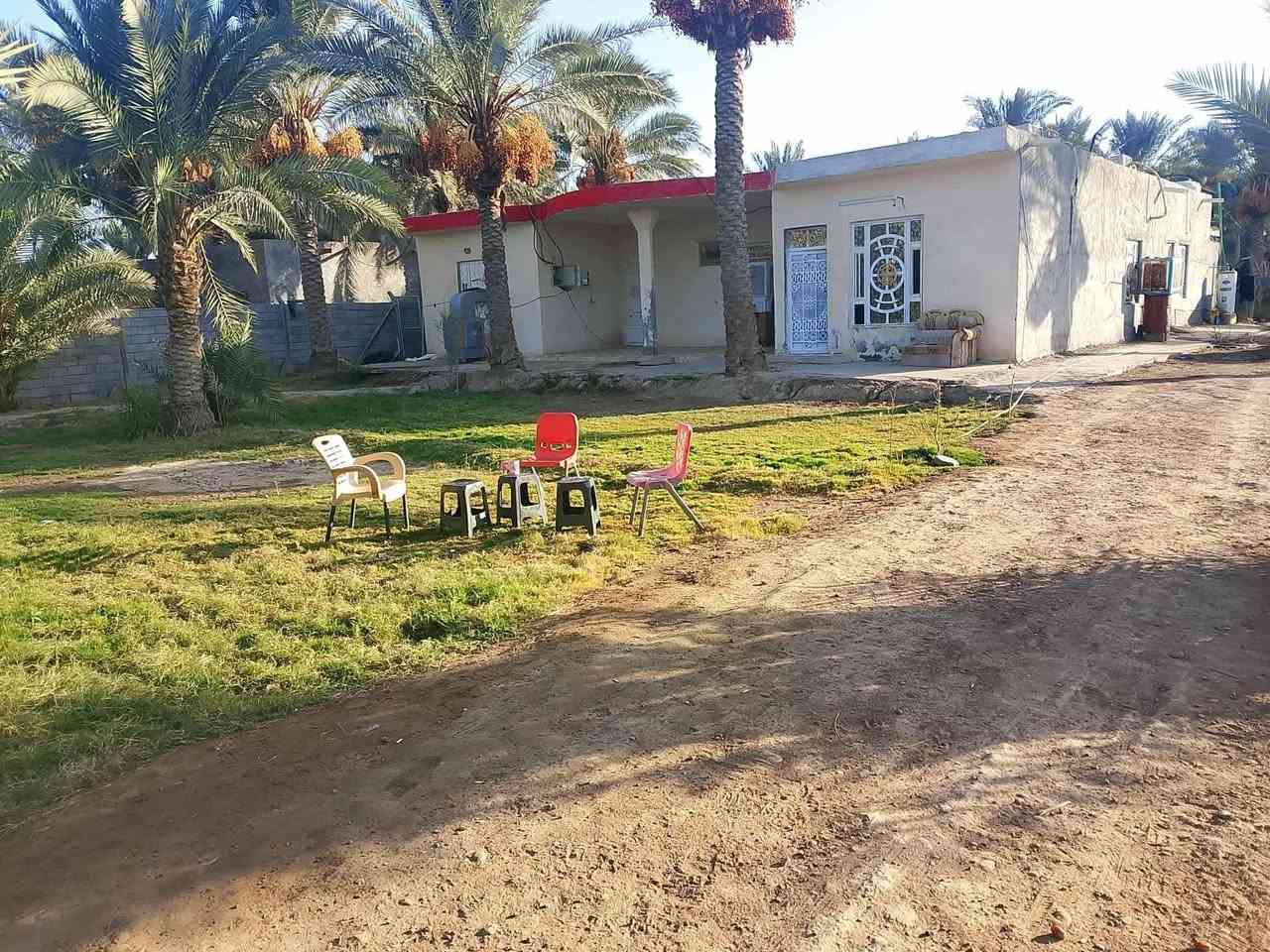 دونم وربع • ٢٥ نخلة مثمرة • بيت ٣٥٠م