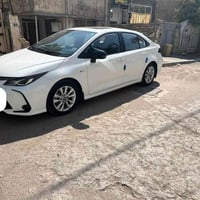 كورلا خليجي • ٢٠٢٥ • أعلى فئة