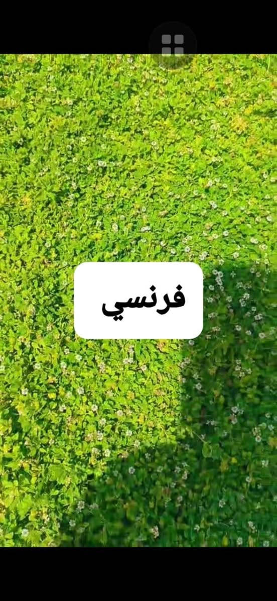 مرحبا زبائنا الكرام نوفر لقد عدنا لكم بل موسم الجديد للزراعه الحدائق بكادر مختص 
  افضل انواع الثيل
الطبيعي وبجوده عاليه
بكافة انوعه🌲
الفرنسي🇫🇷
والايطاليا🇮🇹
والهندي🇮🇳
وبأسعار تنافسيه$
وتوصيل مجاني لجميع محافضات العراق 🚗
للتواصل الاتصال على الرقم ***********
