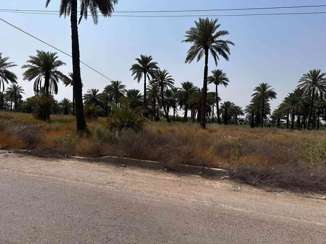 عرب جبور • طابو زراعي • سند ٢٥