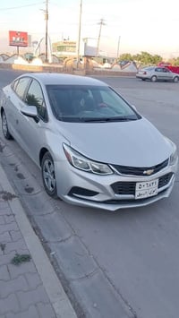 كروز • ٢٠١٧ • رقم اربيل