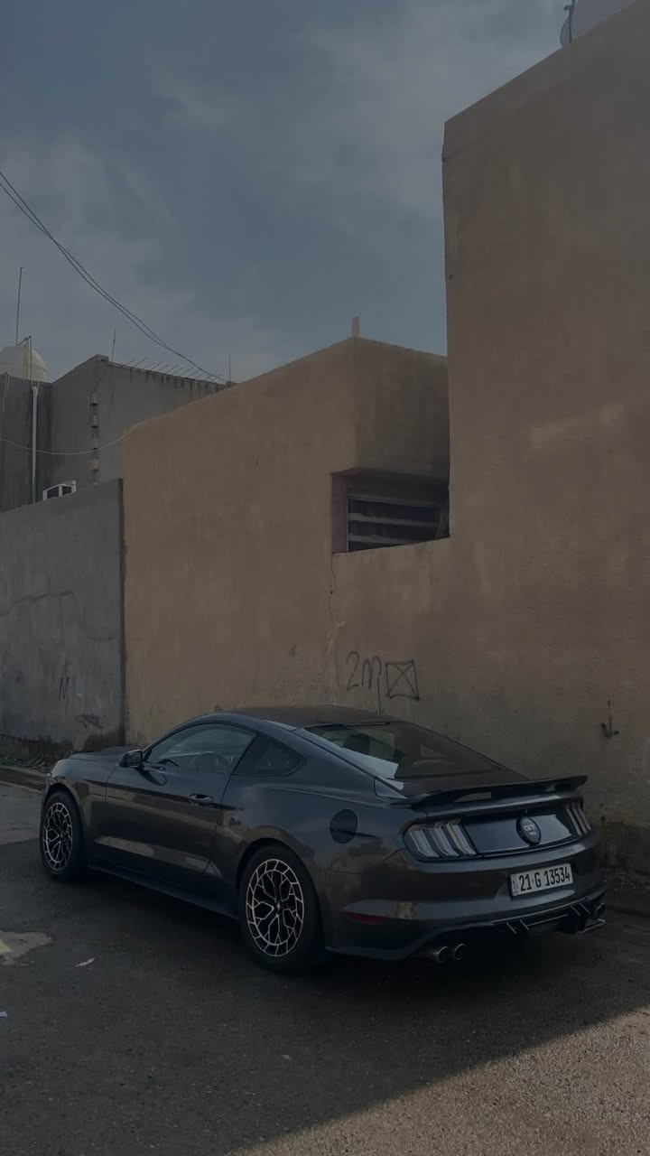موستنك V6 • ٢٠١٥ • رقم سليمانية