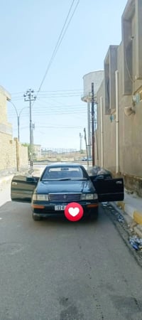 كراون بطه • ١٩٩٣ • قضاء الغراف