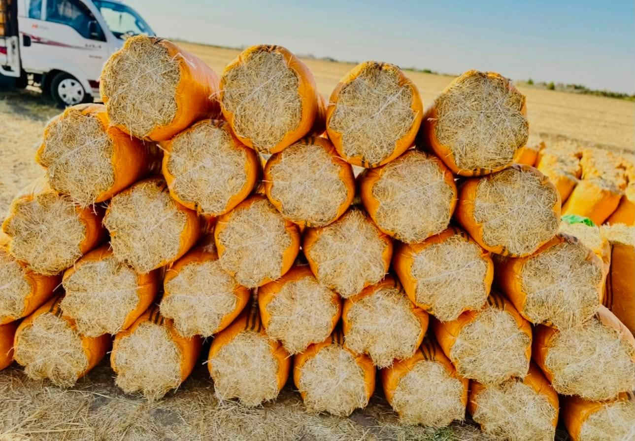 يوجد تبن سنه مكروض للبيع شرط ابيض وناعم وترس فول وخياط كله ورده شرط تفريغ يتوفر جميع قياسات حسب طلب وبانسب السعار اتصال*********** او مرسله خاص توصيل مجاني (بغداد واسط كربلاء ديوانيه بآبل نجف)
