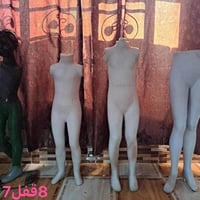 كركوك • السعر بالصور • تواصل واتساب
