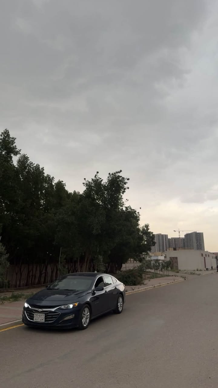 سلام عليكم 
ماليبو 2019 LT
1500 تيربو
لون ازرق غامق
ماشيه 81 (١٣٠ كيلو)
فول مواصفات عدا الفتحه
شاشه كبير 
تدفئه كشنات
مثبت سرعه
تحكمات 
قطعتين تبريد
الخ…
حادث السياره دعاميه بامريكا 
وهنا صار بيها بل صندوق ثنينهن خفيفات
مصبوغه حزام كلير
السياره بيها نقوصات 
السعر 75وبيها مجال بسيط 
 مكان السياره بغداد حي العدل
للتواصل ***********
