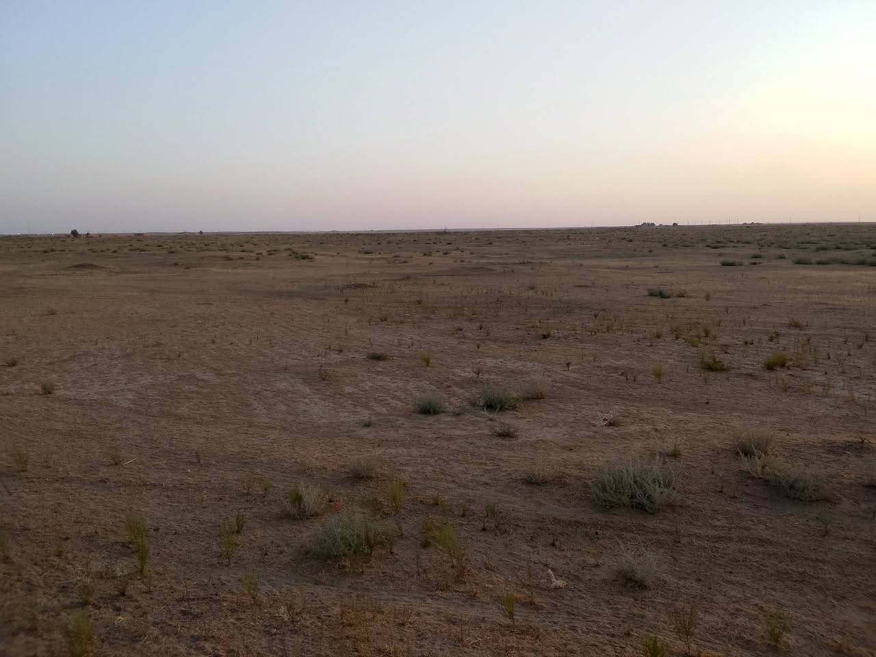 سلام عليكم اخوان كاع 250 دونم 
في العيث الزلزليه كهربا واصله بس 
يعوزه حفر جليب ونترهم عل كل شي
بس تواصل معي عل راقم وهاذي 
جدامك تكدر اشوفه ***********
