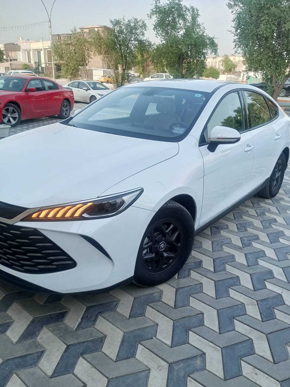 بي واي دي كن بلاس • موديل ٢٠٢٥ • ماشيه ٢٣٠٠٠