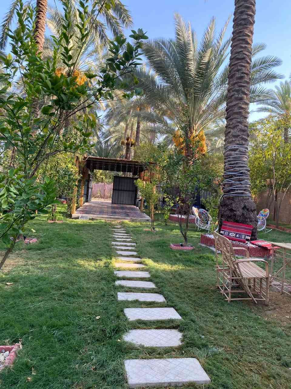 🌴✨ أهلاً وسهلاً بكم في مزرعة النخلة ✨🌴
📢 الحجز متوفر

📅 الخميس والجمعة والسبت: 250 ألف
🌙 الأيام العادية – مسائي: 200 ألف
☀️ الأيام العادية – صباحي 150ألف

نورتونا وشرفتونا 🤍
مكانكم للراحة والوناسة، ونتمنى لكم أوقات جميلة وممتعة بين أجواء مزرعة النخلة 🌿🏡

📲 للحجز والاستفسار: تواصلوا معنا
***********
مزرعة النخلة — ننتظركم بكل حب 🌴🤍
📍 عنوان مزرعة النخلة 🌴

بغداد – منطقة الراشدية – المراسمة

📌 نورتونا وتشرفونا، وأهلاً وسهلاً بكم 

في مزرعة النخلة 🤍🌴
🌴 نرجو من زبائننا الكرام المحافظة على نظافة المكان 🌴

نظافة المكان مسؤوليتنا جميعاً 🤍
يرجى المحافظة على نظافة المزرعة وعدم رمي النفايات، وترك المكان كما تحبون أن تجدوه.

شاكرين تعاونكم وذوقكم 🌹
