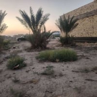عرصه زراعي  مساحة 330متر خلف حي الجامعه يم  البوصالح واجه 10متر نزال 3...