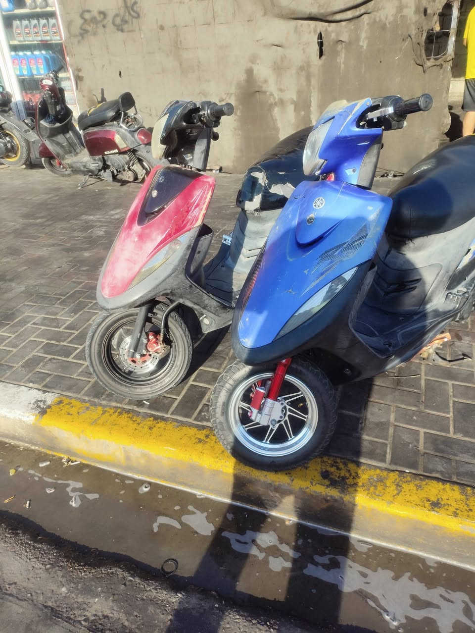 ماكس عدله بلاديات ممفتوحات ختم واحد للبيع مستعجل عله بيعتهن بعقوبه تحرير ***********
