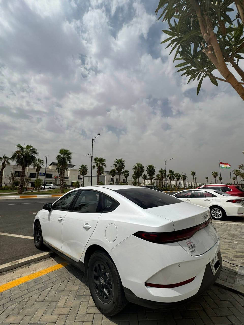 BYD 0.5 2025
هیچی نیە سەیارەکە بێ سبوغ و لێدرانە بەس جێی بەردی هەیە لە قەلبی و تەەاو سەیارەکە گێر و مەکینە و کارەبایاتی بە شەرتە
١٩ هەزار رۆشتووە لە پاتری 
٥ هەزار لە مەکینە
سەیارەکە زەمانە فولل فوللە
ناو کرێمیە ٣ مۆدە  قەپات قەپات ماصفاتە 
سحری ١٣٣ وەرەقە و مەجال 
تعویل و غەرامە بە شەرتە
***********
*********** أربيل, العراق
