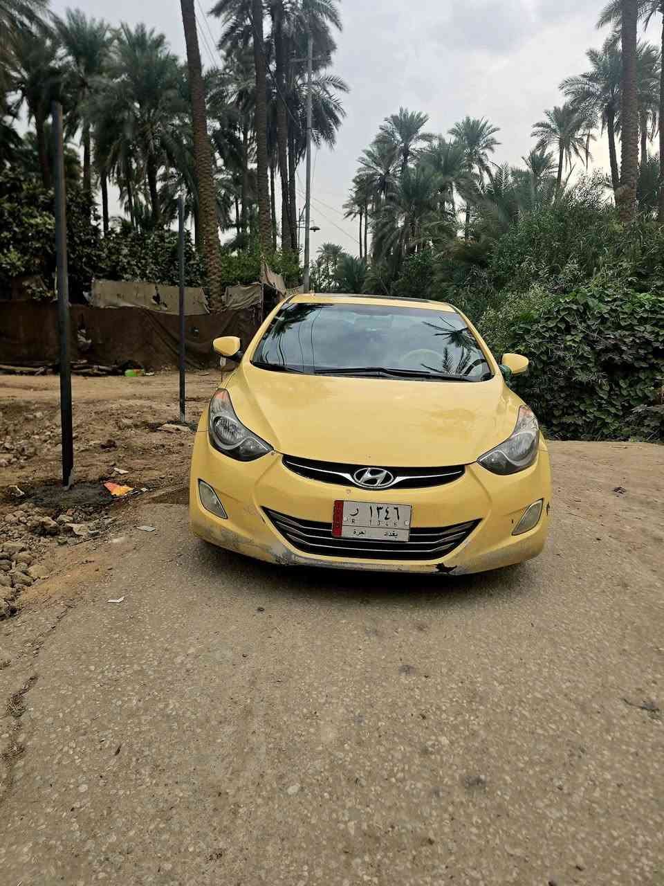 النترا • ٢٠١٣ • وارد امريكي
